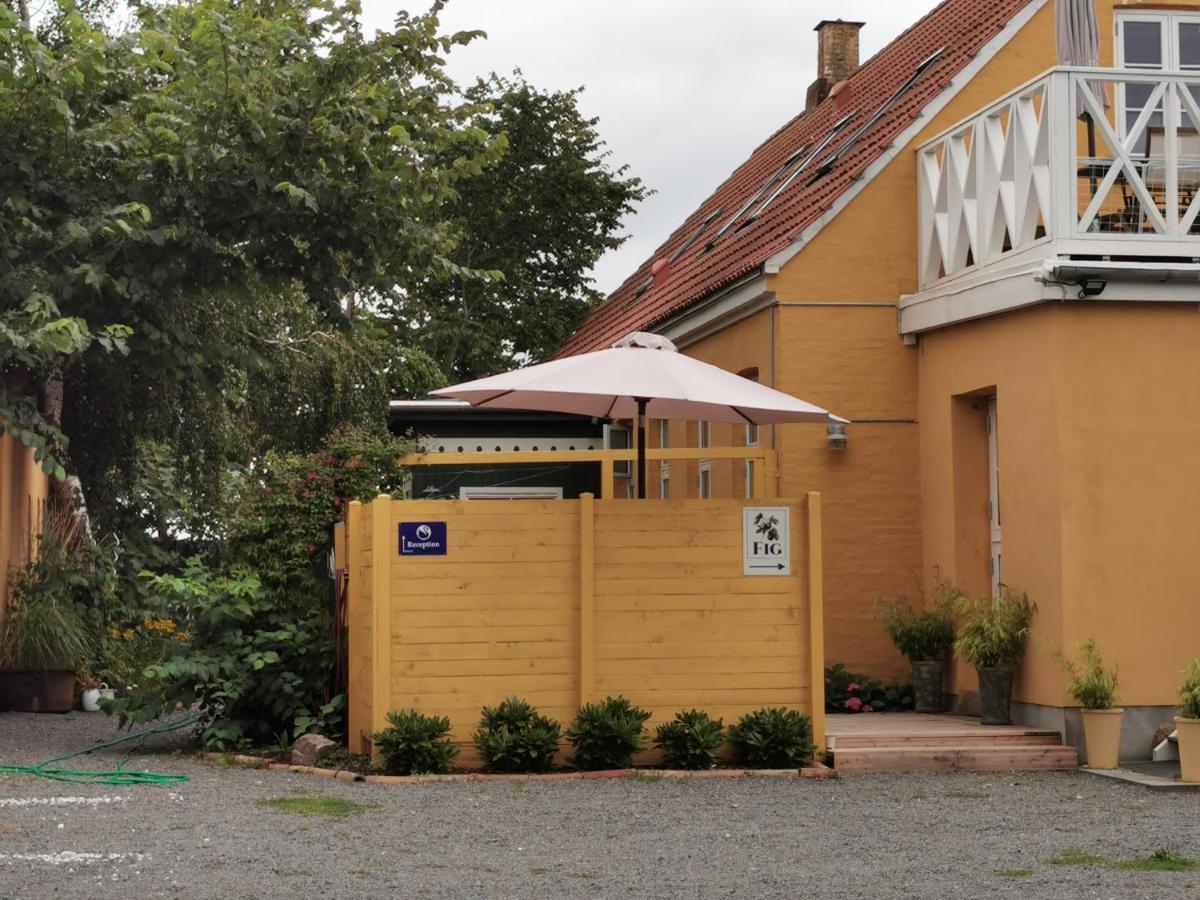 The Fig Studio - "Den Gule Svane" Guest House - Near Ronne & Beach Eksteriør billede
